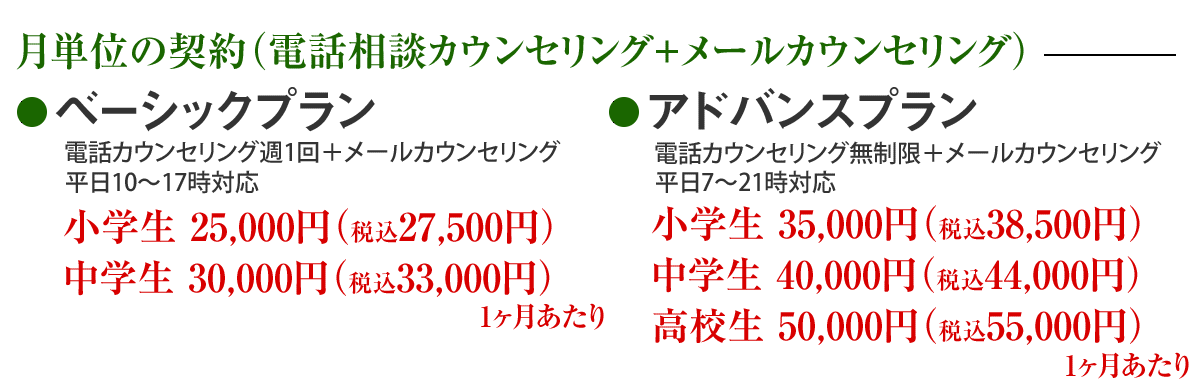 月単位の契約（電話カウンセリング＋メールカウンセリング） 1ヶ月30,000円（税別）