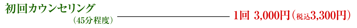 初回相談(45分程度)