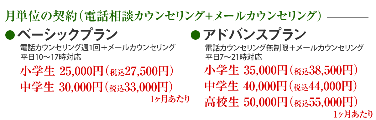 月単位の契約(電話カウンセリング+メールカウンセリング) 1ヶ月30,000円(税別)
